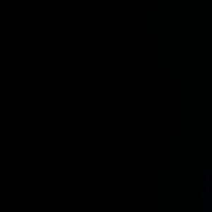 Meet your Posher, Autumn